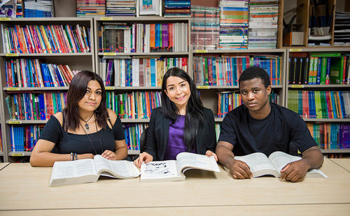 MC students in library at table