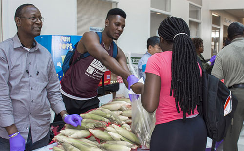 Volunteers distributing food at the Mobile Market
