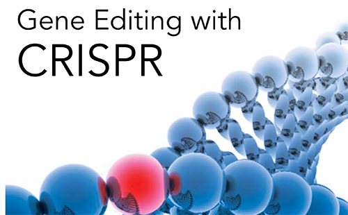 BIO-TRAC基因编辑与CRISPR